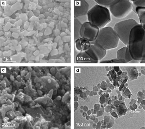 Scanning Electron Microscopy Sem Image Of Zno Nps A Clarified The