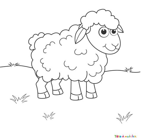 Coloriage mouton 04 un dessin à imprimer avec Tête à modeler