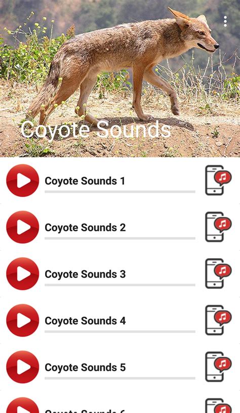 Coyote Sounds APK for Android Download