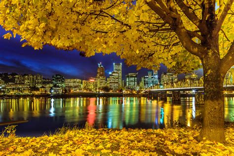 Fall In Portland Oregon 112013 ฤดูกาลที่กำลังเปลี่ยนแปลง Flickr