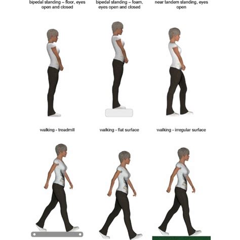 Balance And Walking Stability Tests See Text For Explanation