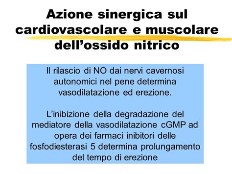 Ossido Nitrico E Funzione Erettiva Ppt Scaricare