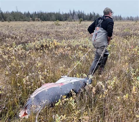 gifts for men hunting 5