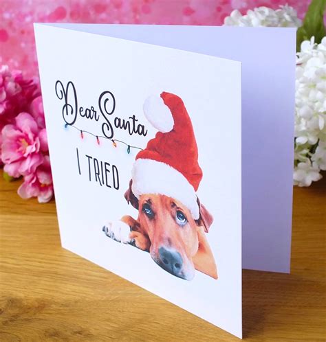 Funny Dog Christmas Cards | " I Tried " | Free Delivery – Bright Heart Design