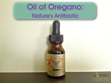 Oil of Oregano: Nature's Antibiotic