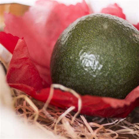 Comprar Aguacates Online Del Rbol A La Mesa