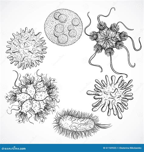 Microbes Realistic Biological Cells Different Flu Viruses Vector