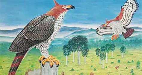 Meet The Haast's Eagle, The 'Lost Giant' Of New Zealand