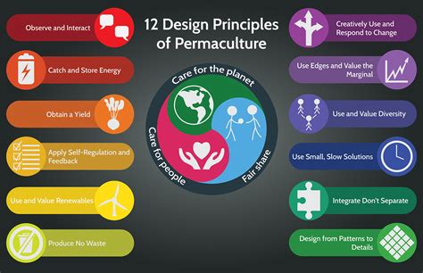 Exercise 02: Permaculture Infographic on Behance