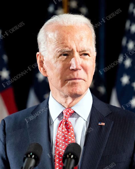 JOE BIDEN 5x7 or 8x10 Photo Print Hollywood 2010s Color Presidential