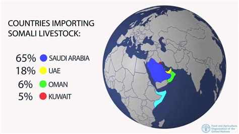 Videographics Somalia Registers Record Exports Of 5 Million Livestock