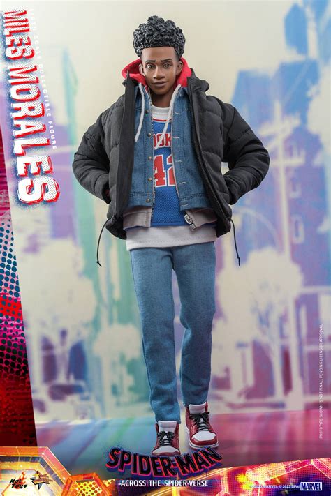 Miles Morales Hot Toys MMS710 Spider Man Across The Spider Verse 1 6th Scale Collectible Figure