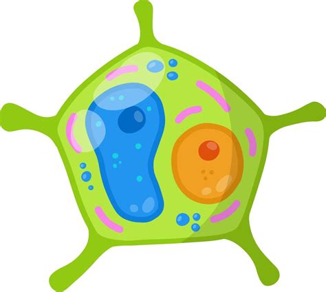 Green cell of the plant. Element of biology. 8949541 Vector Art at Vecteezy