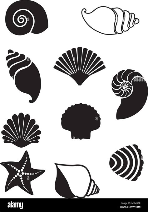 Vector Illustration Of Sea Shells Set Seashell Silhouettes Set