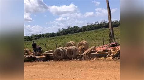 Caminh O Carga Viva Tomba Mata Animais E Deixa Motorista Ferido