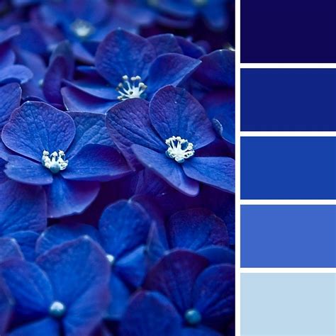 Синий цвет в психологии Color Schemes Colour Palettes, Color Combos ...