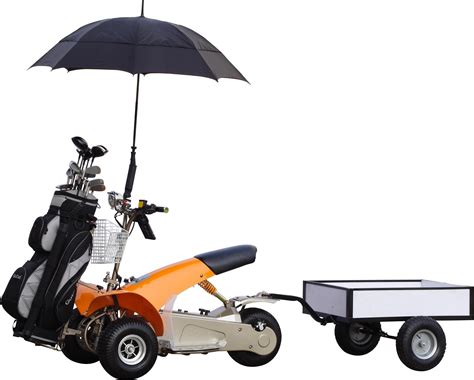 Golf Cart Golf Trike Utility Cruiser Sx E0906 5a