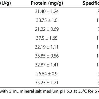 Native Page And Zymogram Analysis Of Crude Enzyme Extract From A