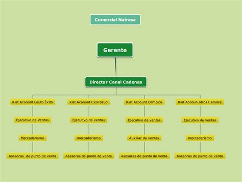 Organigrama De Una Empresa Comercial