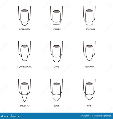 Insieme Delle Forme Differenti Dei Chiodi Su Bianco Icone Di Forma Del