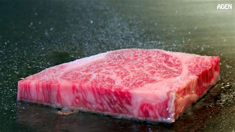 Rare Kobe Beef in Tokyo – Japanese Food Teppanyaki – Online Recipes