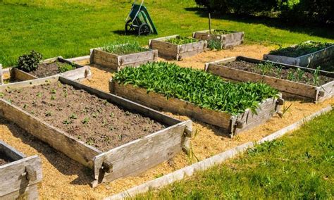 How To Fill Raised Garden Beds Home Guide