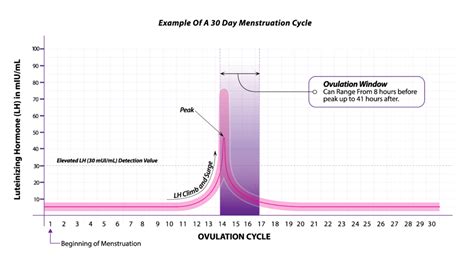 Lh Levels And Ovulation Chart