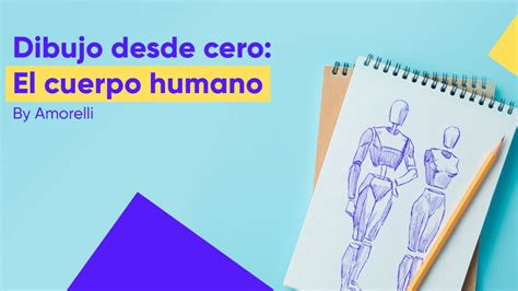 🎨 Aprende Las Proporciones De Dibujo Anatómico