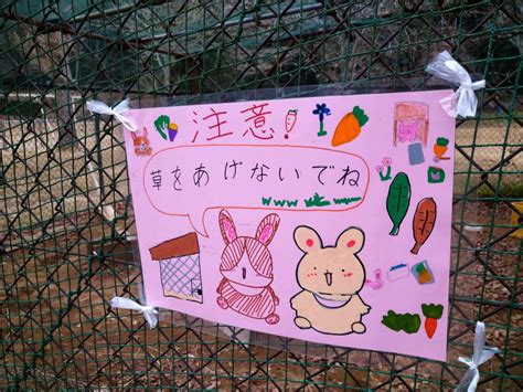 2月2日木飼育委員会の活動 鹿嶋市立豊郷小学校