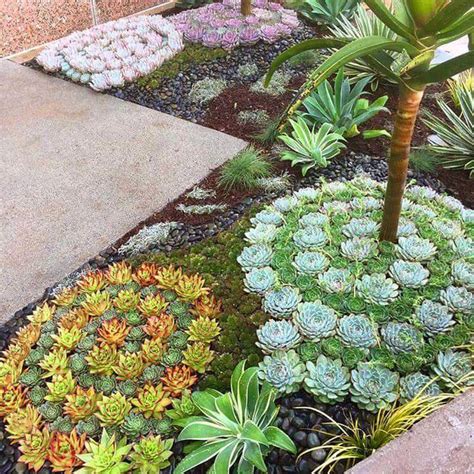 Jardin Con Suculentas Maceteros Y Celosias