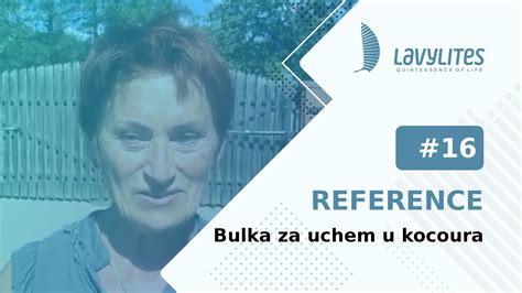 Reference Lavylites Bulka Za Uchem U Kocoura YouTube