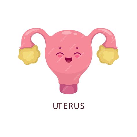 Premium Vector Cartoon Uterus Human Bogy Organ Cute Character