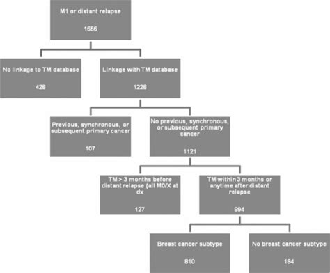 Tumor Markers In Metastatic Breast Cancer Subtypes Frequency Of