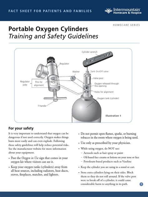 Portable Oxygen Cylinders Training And Safety Guidelines Homecare