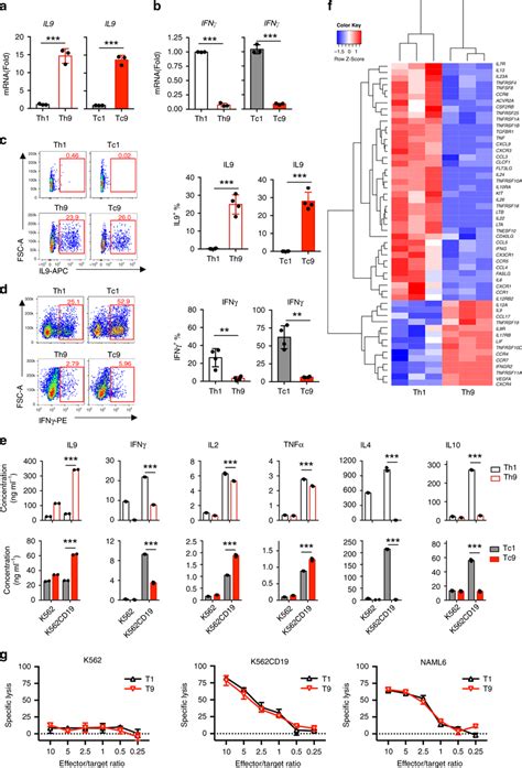 Characterization Of T9 Car T Cell Cytokine Expression Profiles Car T