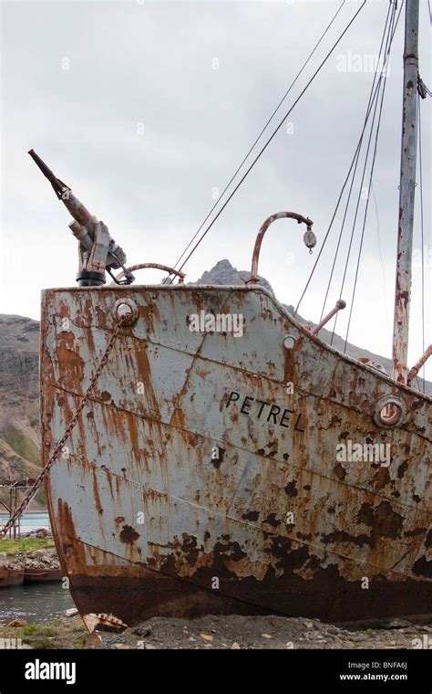 Whaling Ship Petrel Beached At Grytviken On South Georgia Stock