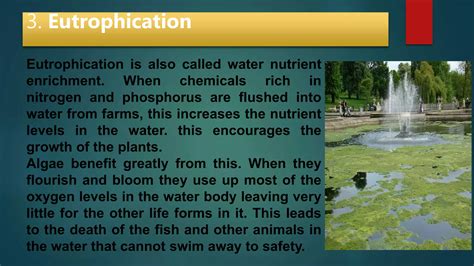 Agricultural pollution | PPT