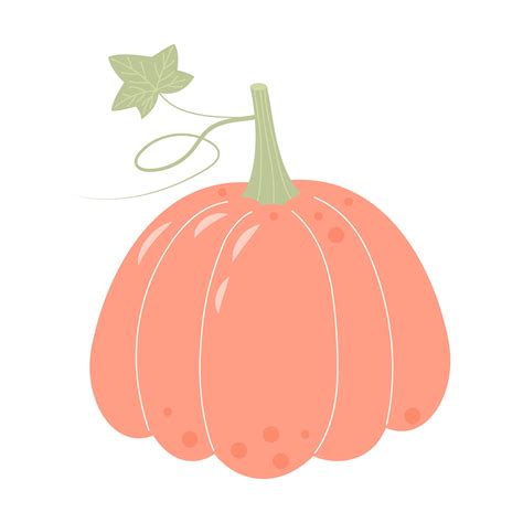 Pastel Boho Pumpkin Isolated On White Background Thanksgiving Day