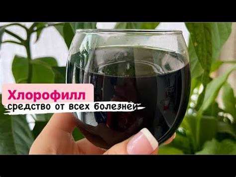 ХЛОРОФИЛЛ - лекарство от всех болезней? В чём его польза? - YouTube