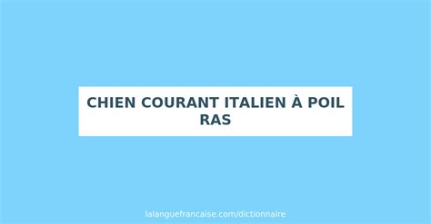 Définition de chien courant italien à poil ras Dictionnaire français