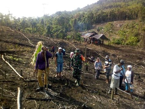 Kegiatan Ini Merupakan Wujud Nyata Peran Serta TNI Dalam Mendukung Dan