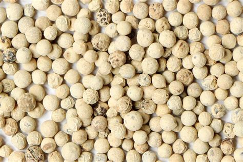 White Pepper - Norin Business Network