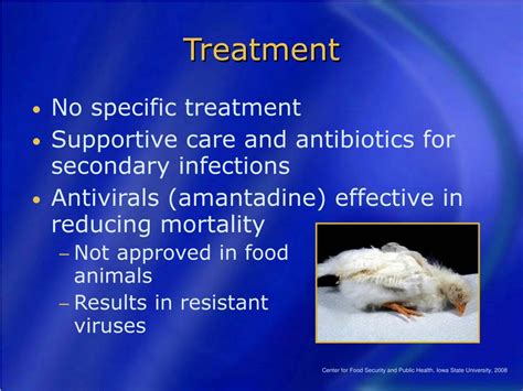 Ppt Avian Influenza Highly Pathogenic Powerpoint Presentation Free