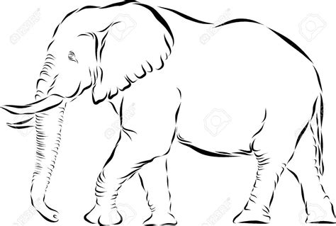 Vector Line Art Illustration Of An African Elephant Elephant Drawing