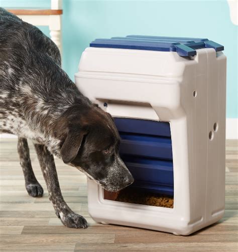 Outdoor Automatic Dog Food Dispenser