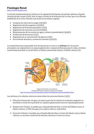 Fisiologia Renal PDF Descarga Gratuita