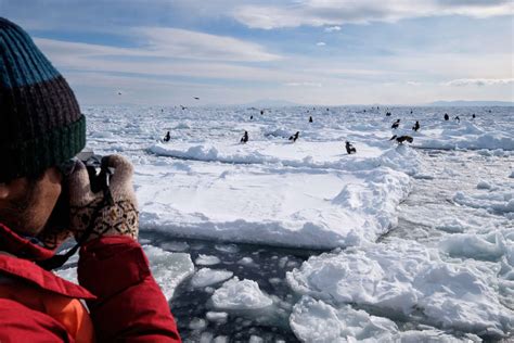 Hokkaido Winter Tours - Adventure Hokkaido