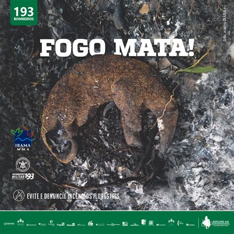 O Tema Fogo Mata Reflore Ms Realiza A Campanha De Preven O E