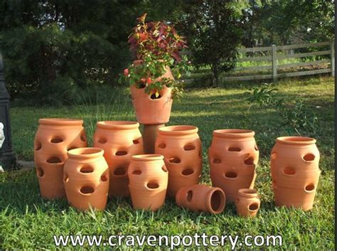 Terracotta Strawberry Planter - Garden Plant