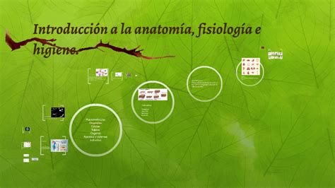 Introducción a la anatomía fisiología e higiene by Lilibeth Vázquez